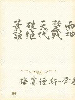 萧破天楚雨馨小说绝代战神