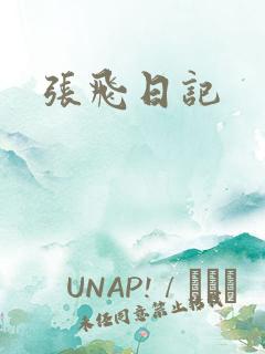 张飞日记