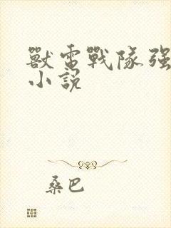 兽电战队强龙者小说