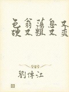 色翁荡息又大又硬又粗又爽