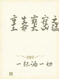 重生霸宠之摄政王爷太凶猛