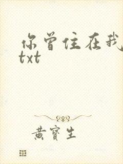 你曾住在我心上txt