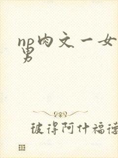 np肉文一女多男