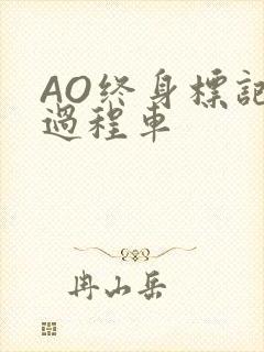 AO终身标记全过程车