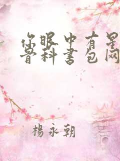 你眼中有星辰h骨科书包网