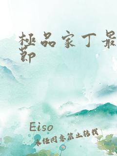 极品家丁最新章节