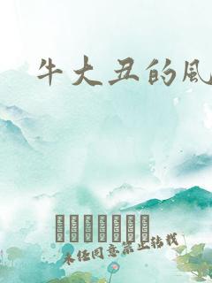 牛大丑的风流记