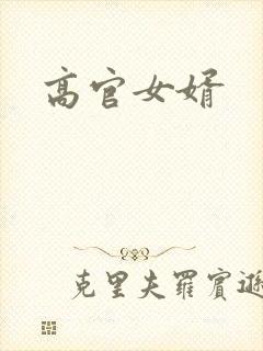 高官女婿