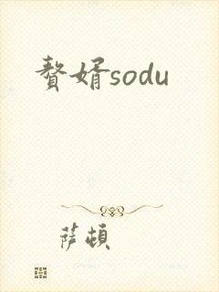 赘婿sodu