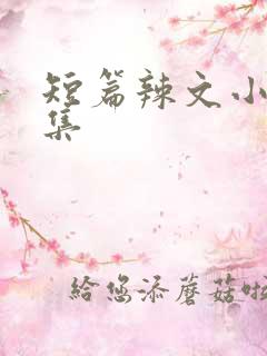 短篇辣文小说合集