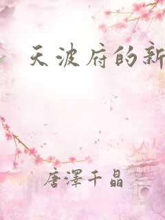 天波府的新姑爷