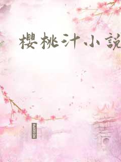 樱桃汁小说