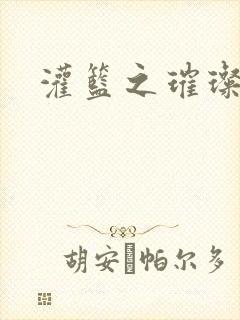 灌篮之璀璨生涯