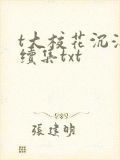 t大校花沉浮录续集txt