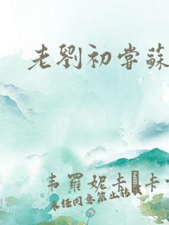 老刘初尝苏荷媳