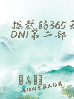 总裁的365天DNI第二部