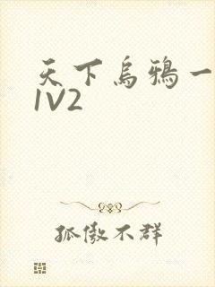 天下乌鸦一般黑1V2