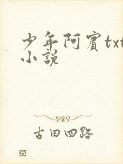 少年阿宾txt小说