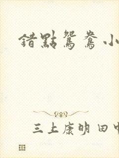 错点鸳鸯小说