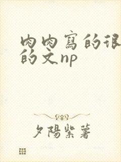 肉肉写的很细致的文np