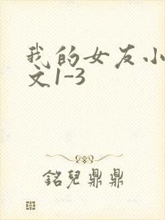 我的女友小洁全文1-3