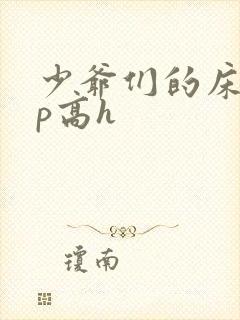 少爷们的床奴np高h