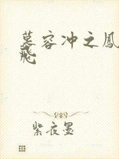 慕容冲之凤凰于飞