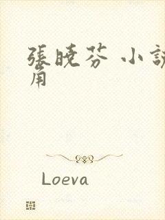 张晓芬 小说主角