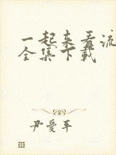 一起来看流星雨全集下载