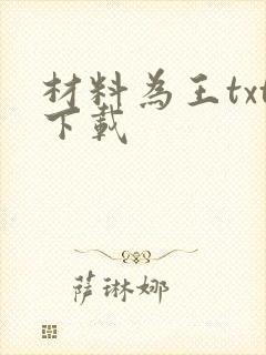 材料为王txt下载