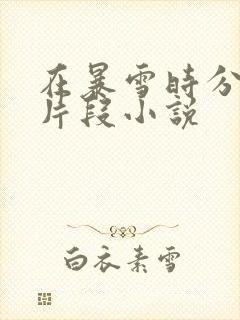 在暴雪时分高能片段小说