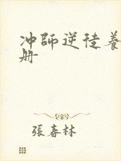 冲师逆徒养成手册