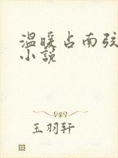温暖占南弦尹衿小说