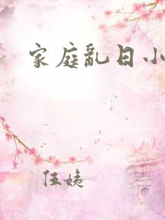 家庭乱日小说