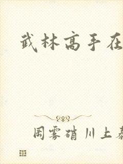 武林高手在异界