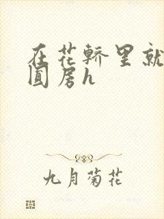 在花轿里就开始圆房h