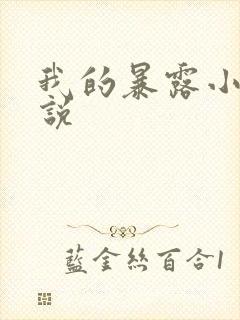 我的暴露小说小说