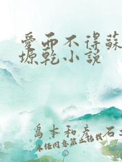 爱而不得苏路顾塬乾小说