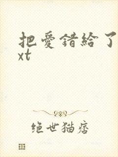 把爱错给了你txt