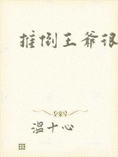 推倒王爷很重要