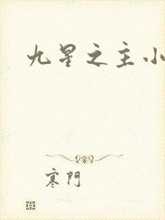 九星之主小说
