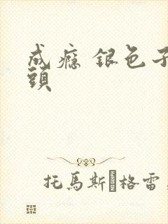 成瘾 银色子弹头