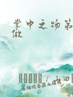 掌中之物第一次做