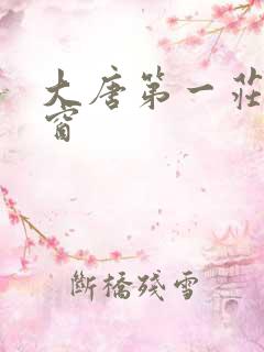 大唐第一庄无弹窗