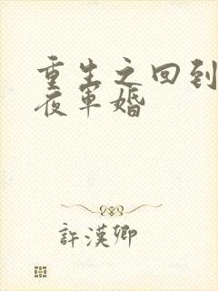 重生之回到新婚夜军婚