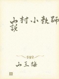 山村小教师 小说