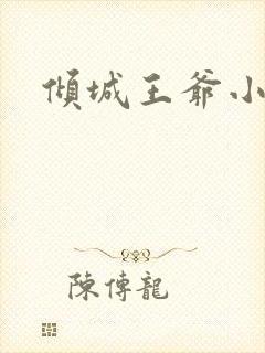 倾城王爷小小妃