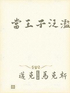 当王子泛滥之时