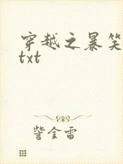 穿越之暴笑王妃txt