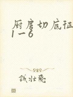 厨房切底征服岳1一6